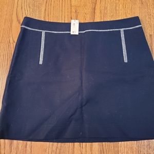 The Limited Mini Skirt